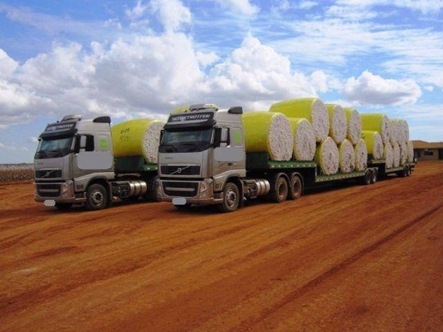 Transporte de algod&atilde;o: entenda como funciona o processo